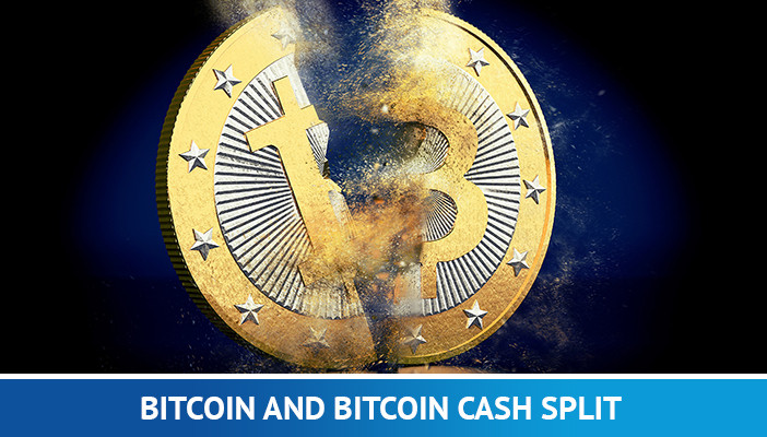 bitcoin e bitcoin divisão em dinheiro